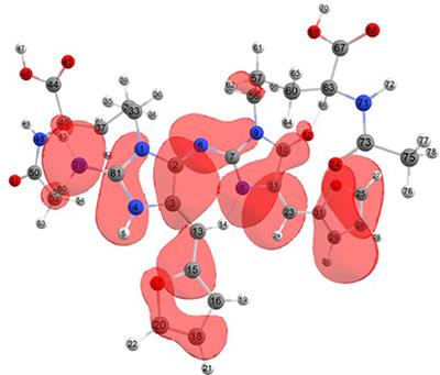 Conceptual DFT Study of the Local Chemical Reactivity of the Colored BISARG Melanoidin and Its Protonated Derivative